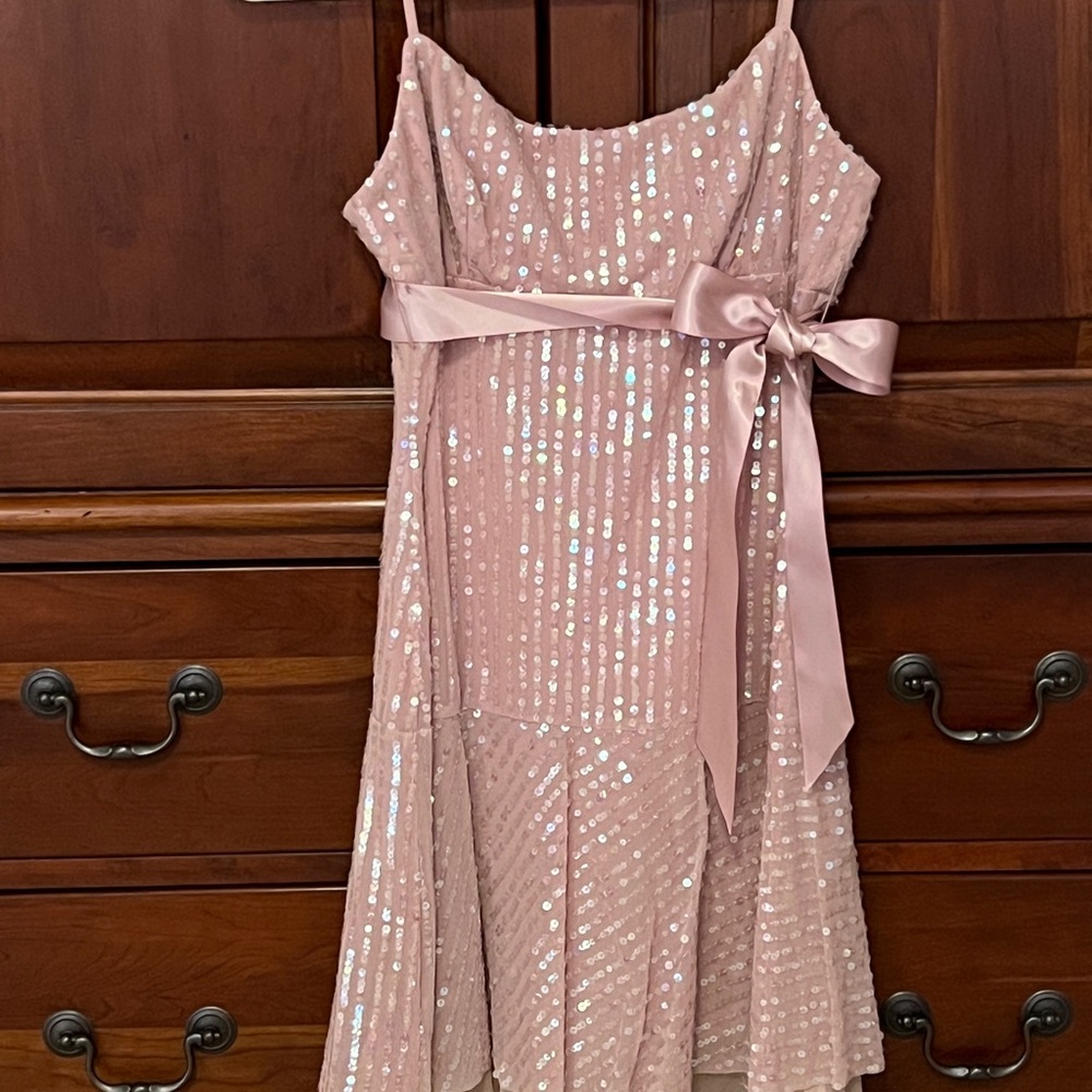 BCBG Max Azria Blush Pink Sequin Dress | Size XS